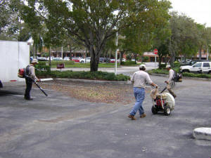 Hurricane Landscaping Maintenance Division.JPG