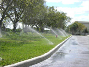 Hurricane Landscaping Irrigation Maintenance.JPG