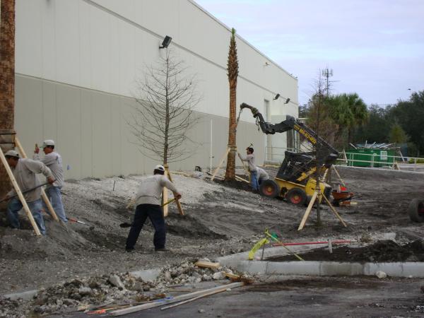 Resized/BeforeConstr.JPG